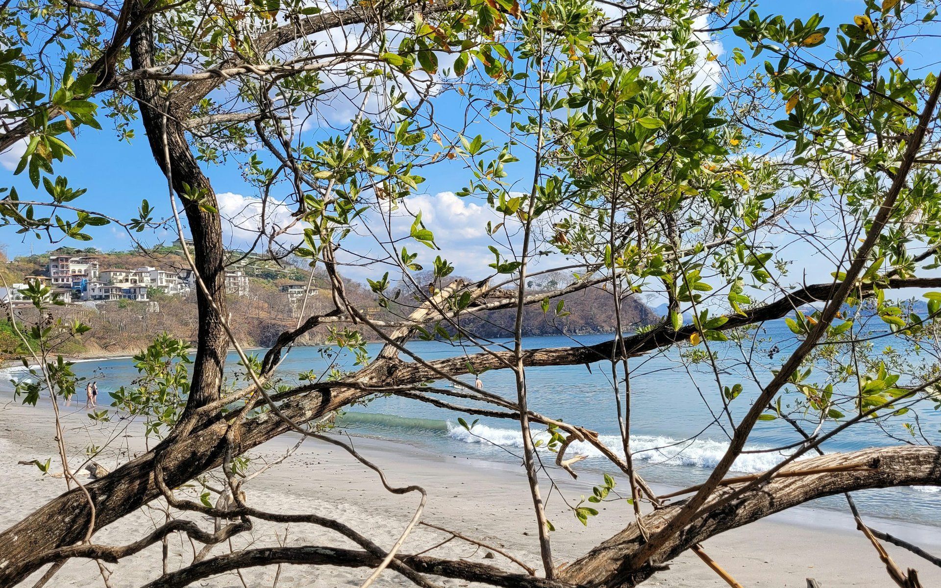 Guanacaste