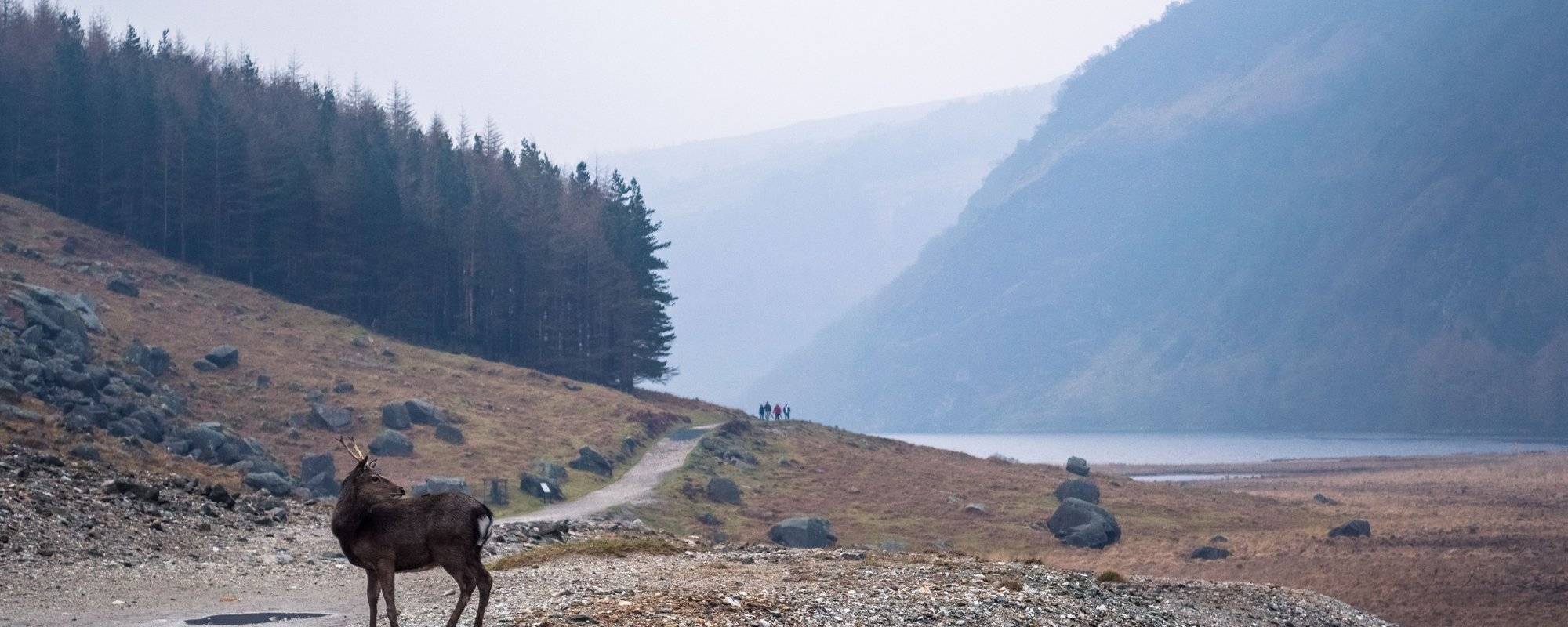 Hiking magical Wicklow Mountains National Park