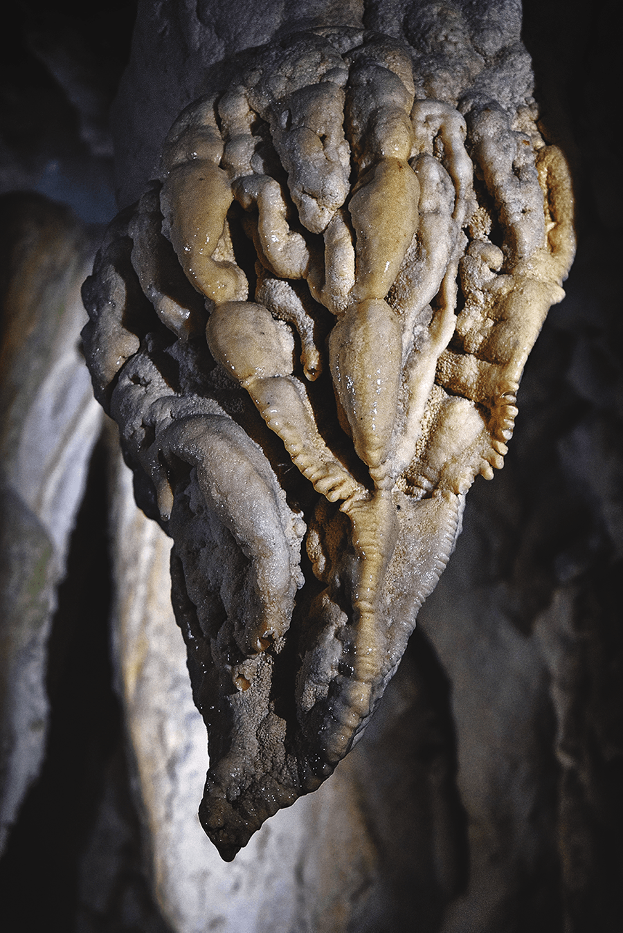crimsonclad aranui cave formations in new zealand detail