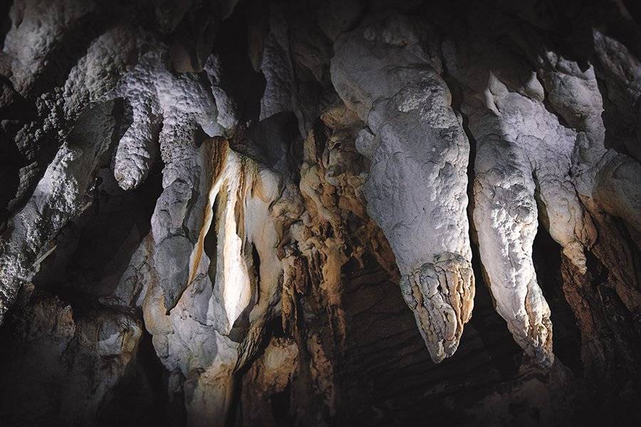 crimsonclad aranui cave formations in new zealand