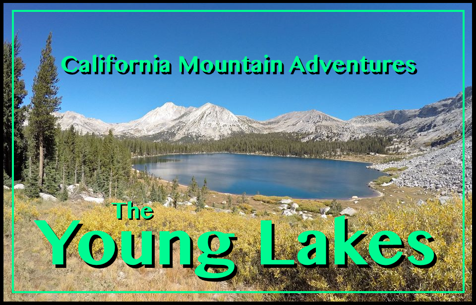 Young Lakes cover.png