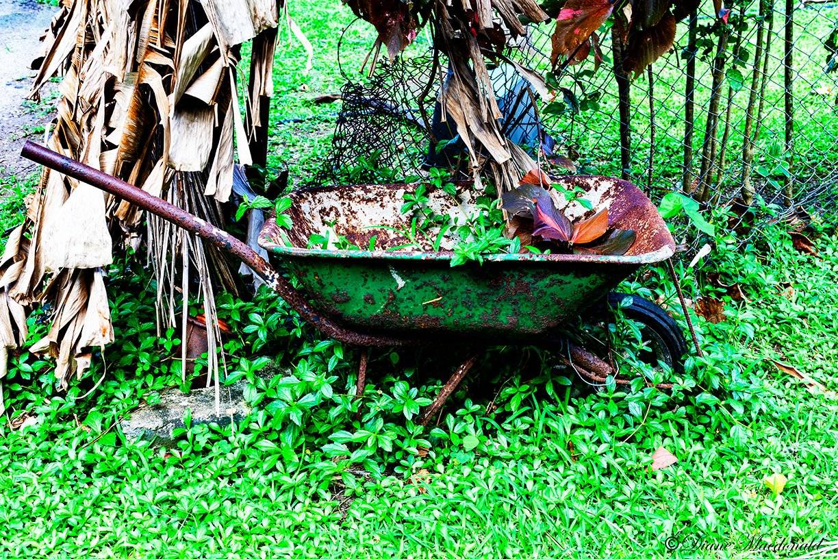 wheelbarrow huahine.jpg