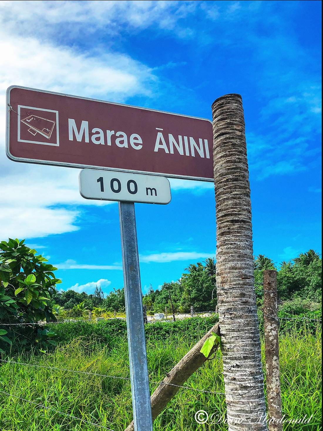 signpost to marea.jpg