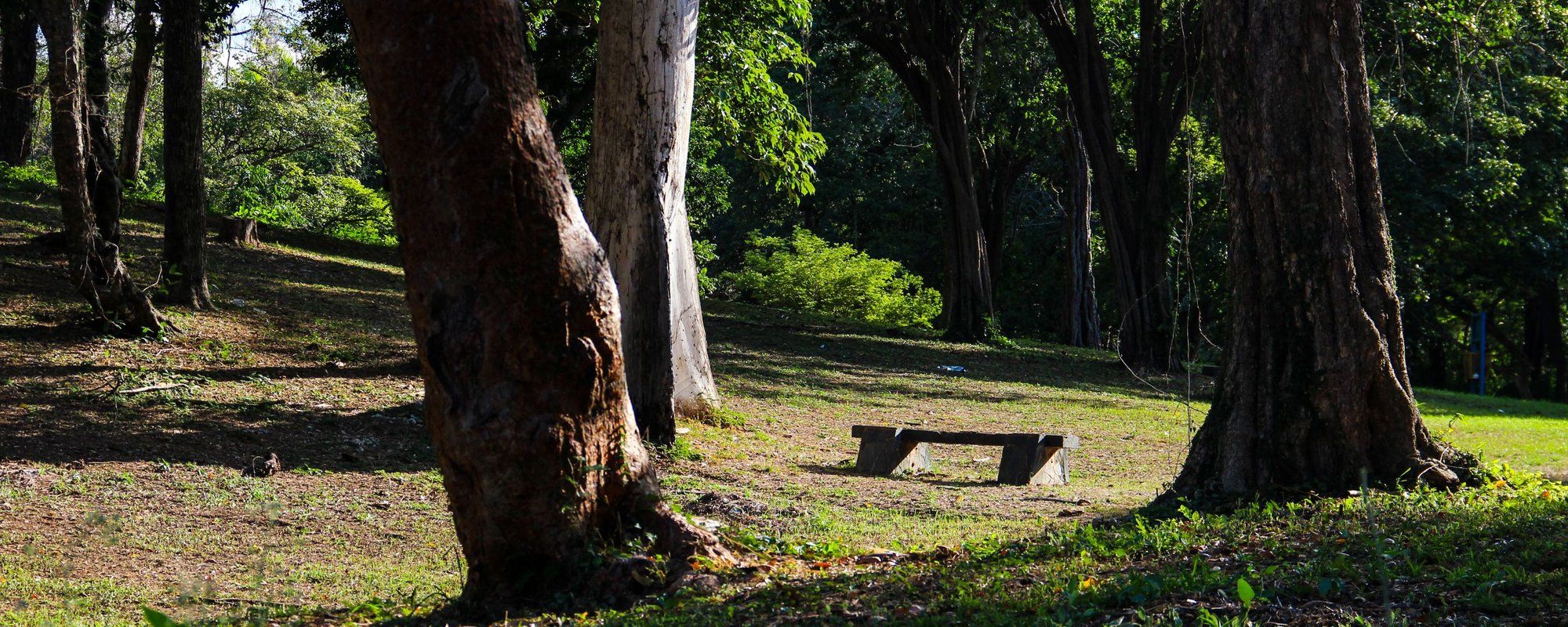 Exploring other paths in Cachamay