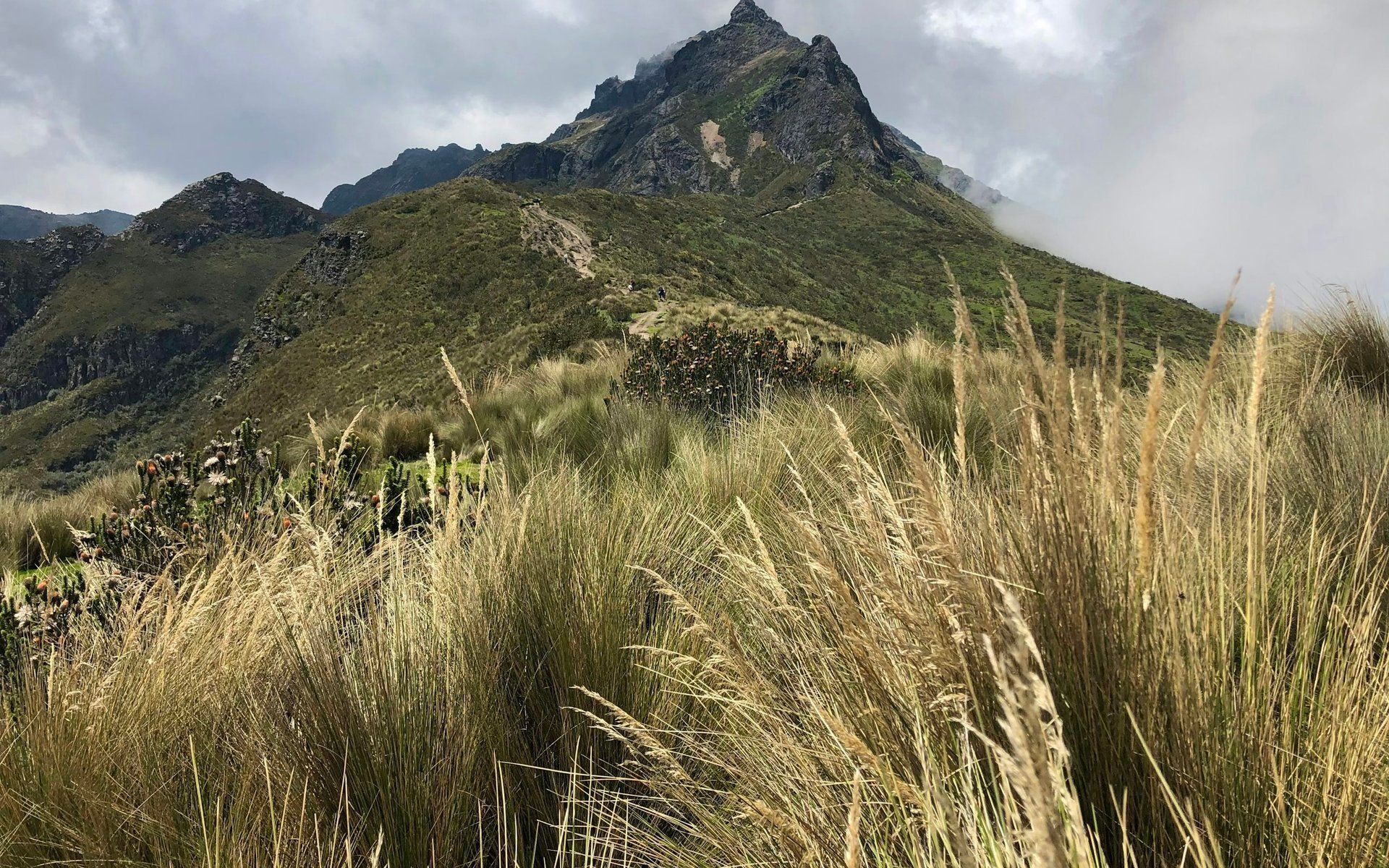 Pichincha