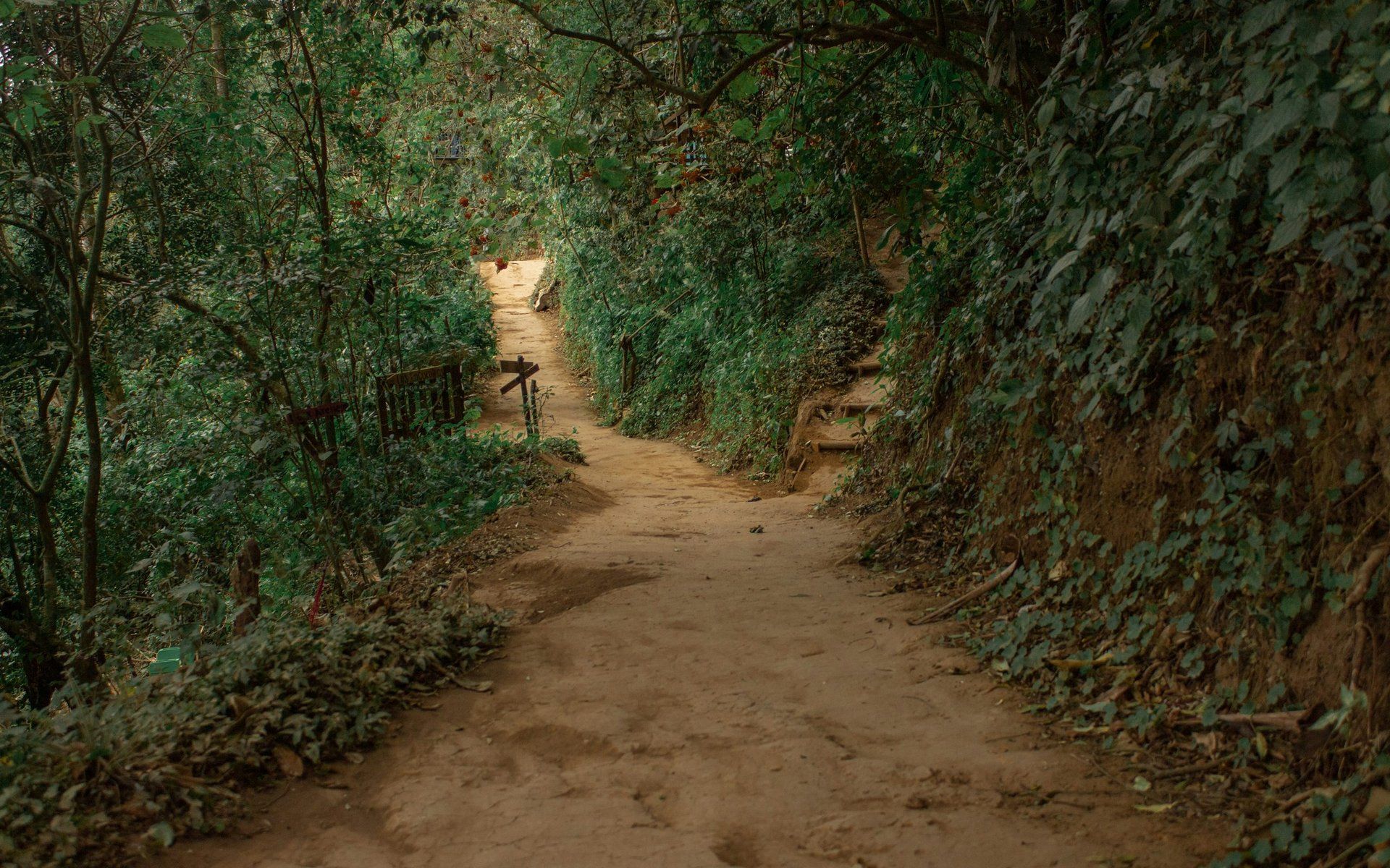 Semuc Champey