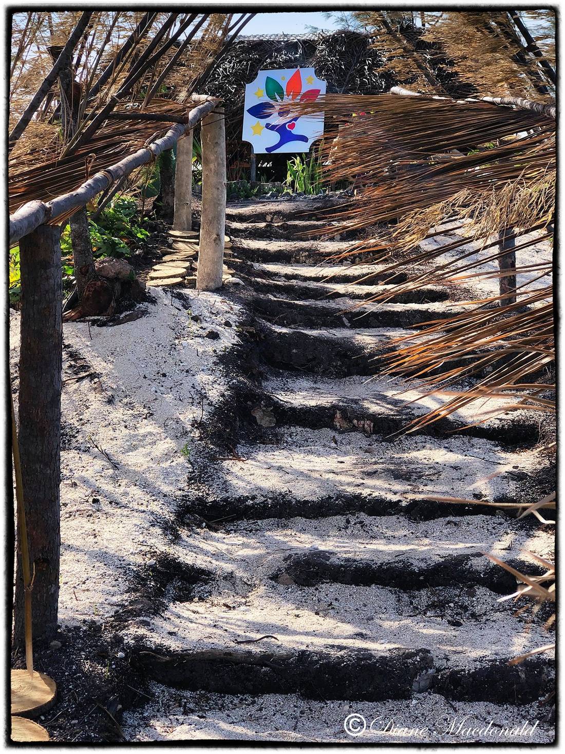 Steps on the hill, Parea, Huahine