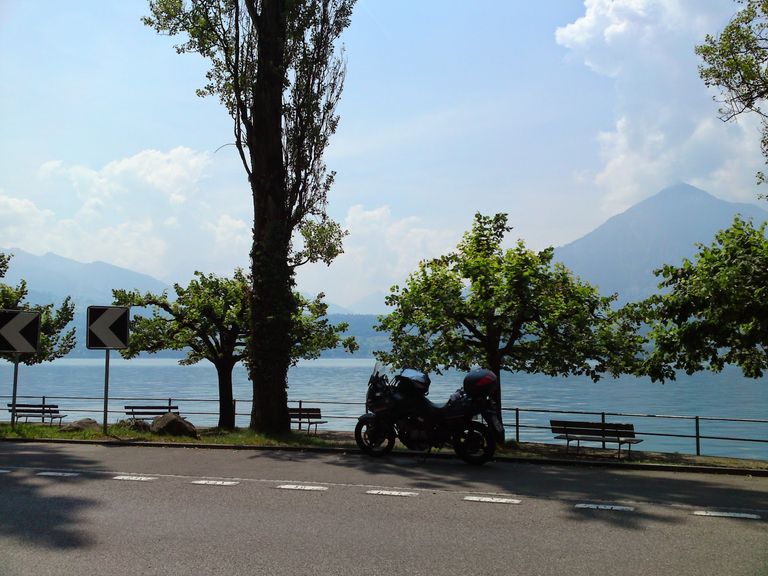 Iron horse rests and cools by Thunersee lake