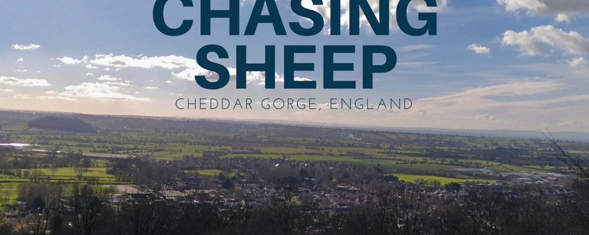 Chasing sheep on Cheddar Gorge cliff top  切達峽谷崖頂散步