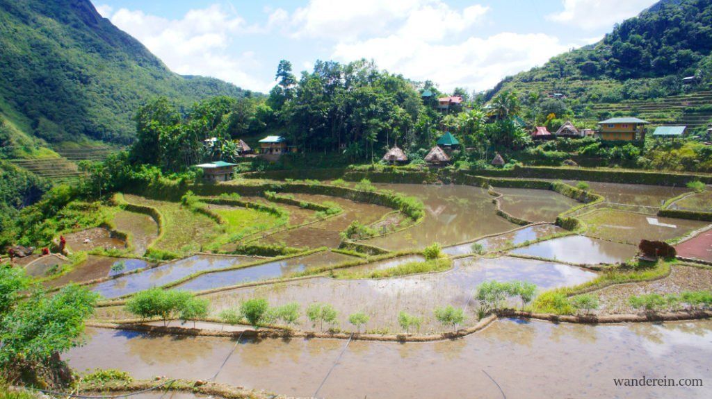 The villagers have just finished harvest so the fields are not green