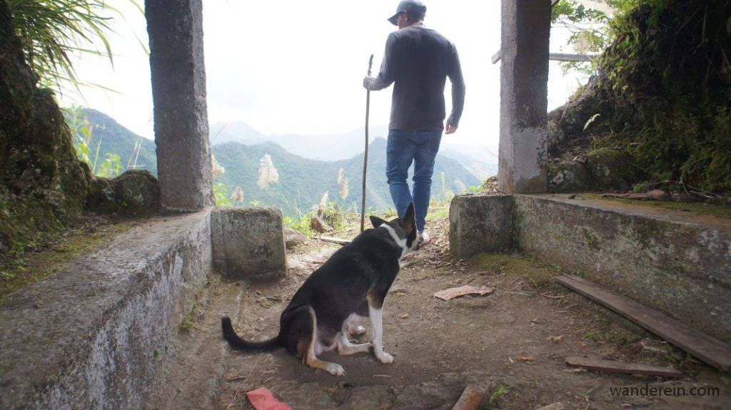 My local tour guide - Kuya Jeff. The dogs are more likely to join your tour with him because he takes care of them