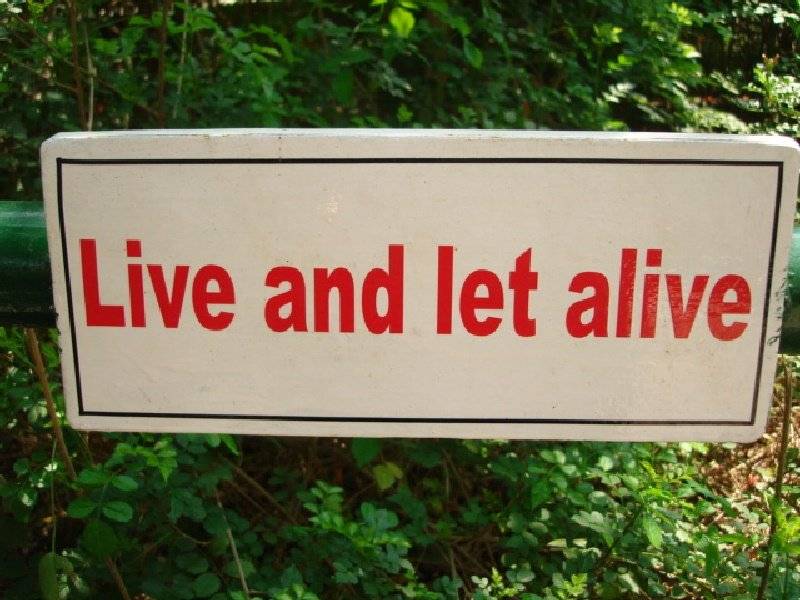 live and let alive.jpg
