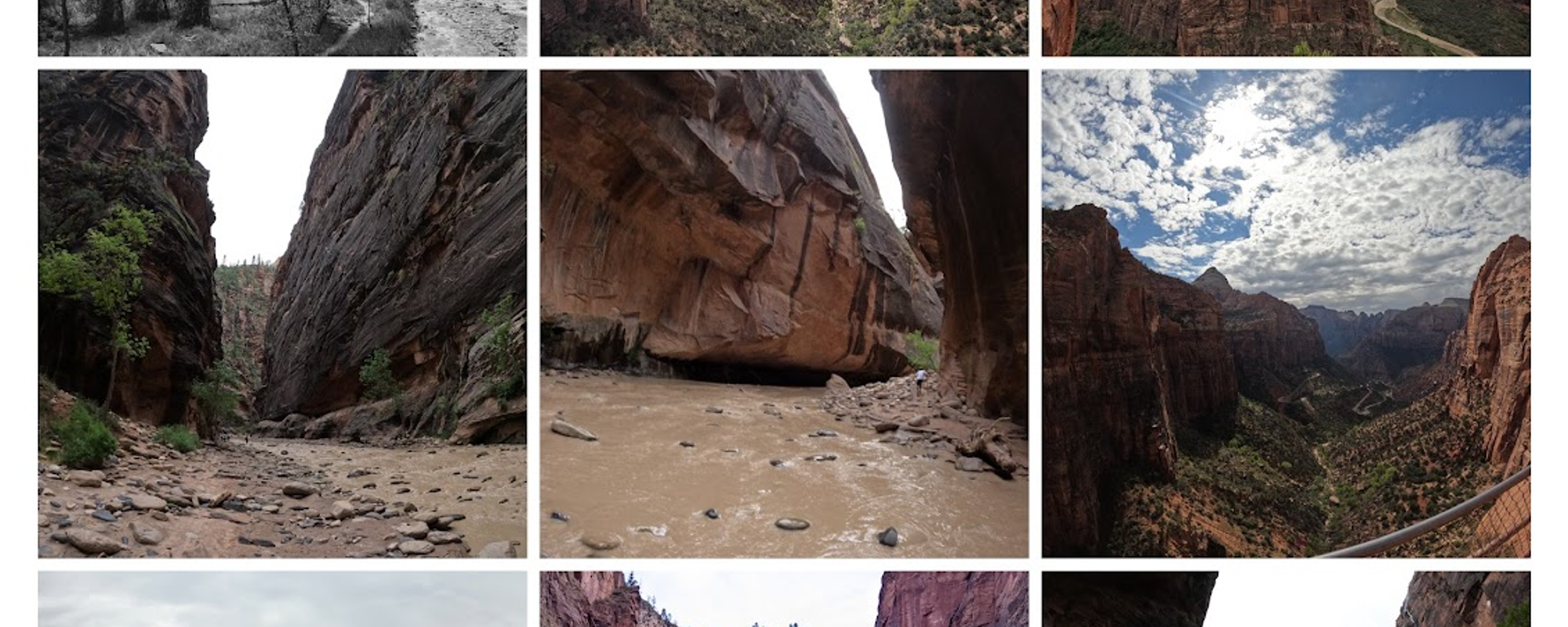2022 Senstless Family Road Trip @ Zion Nat'l Park, The Narrows, Scout Overlook, & Canyon Overlook