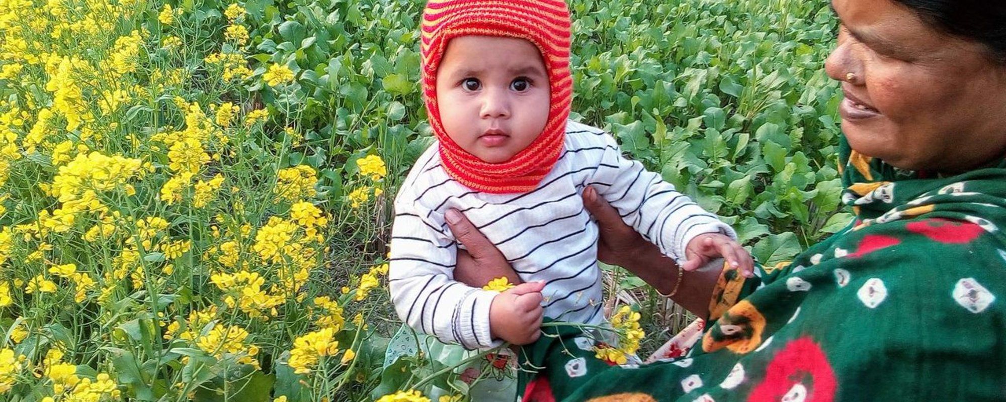 One day with my daughter in the mustard field in our village