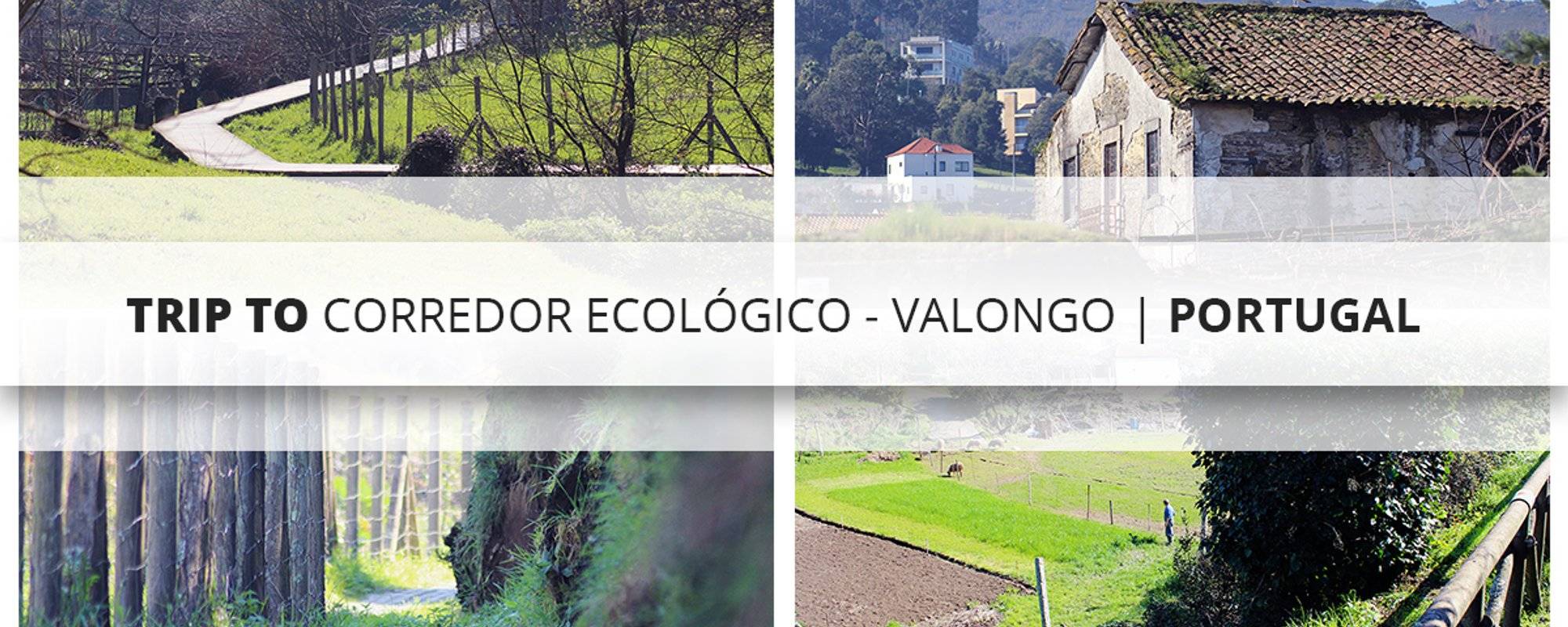 Trip to Corredor Ecológico - Valongo | Portugal