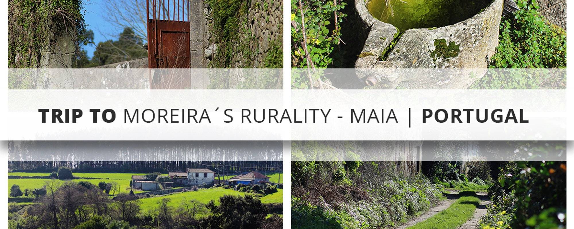 Trip to Moreira's Rurality - Maia | Portugal