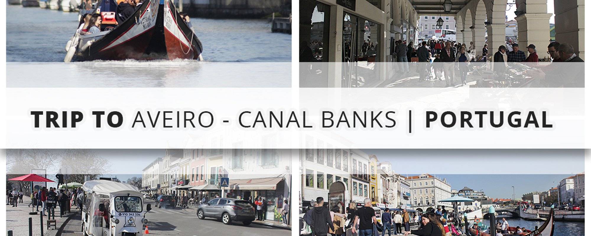 Trip to Aveiro - Canal Banks | Portugal