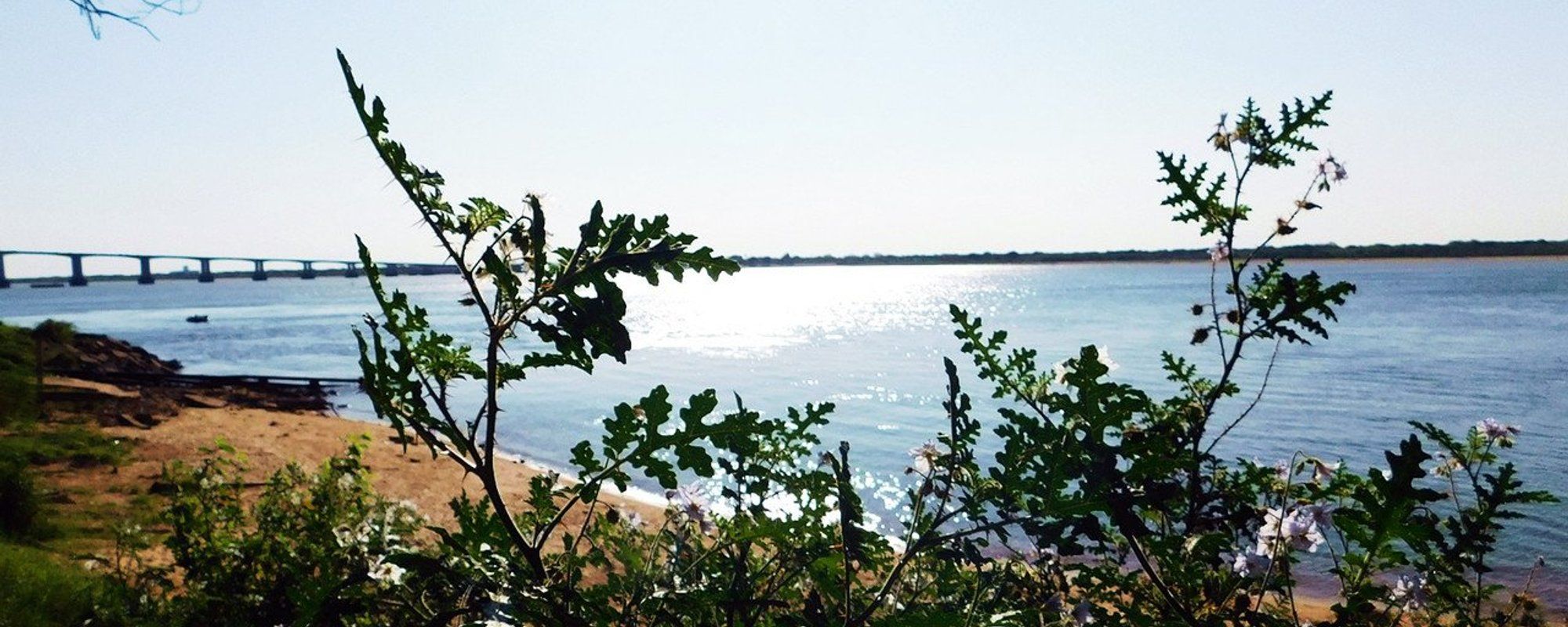 We hunted beautiful shadows in Punta Tacuara [Esp/Eng].