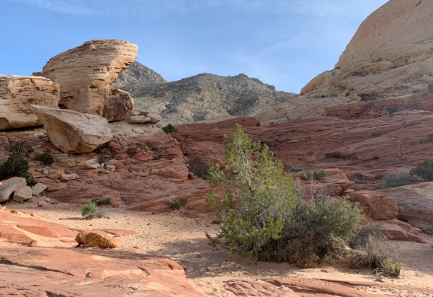 Red Rock Canyon National Conservation Area - the Other Side of Las Vegas / Druga strona Las Vegas