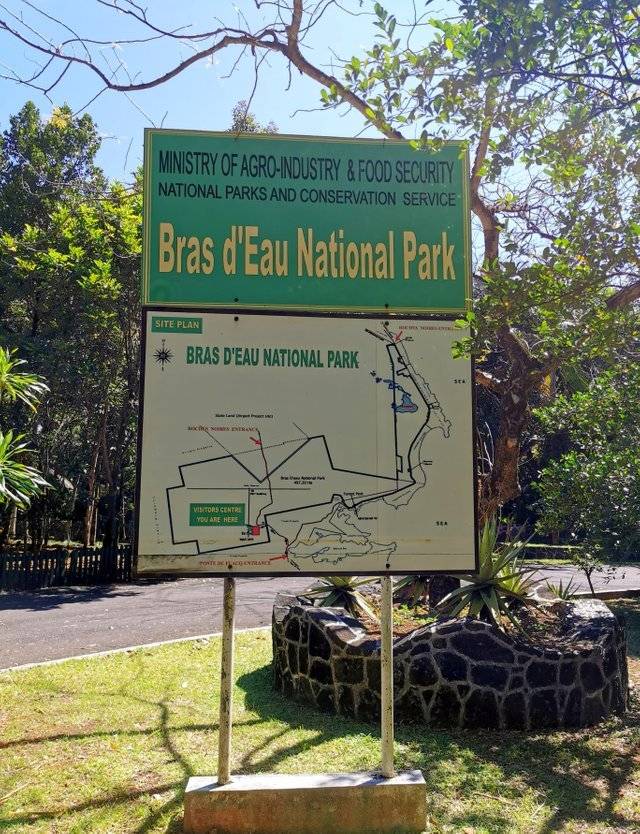 Wild Animals you can see at Bras D'eau - A national park found in  Mauritius! - TravelFeed
