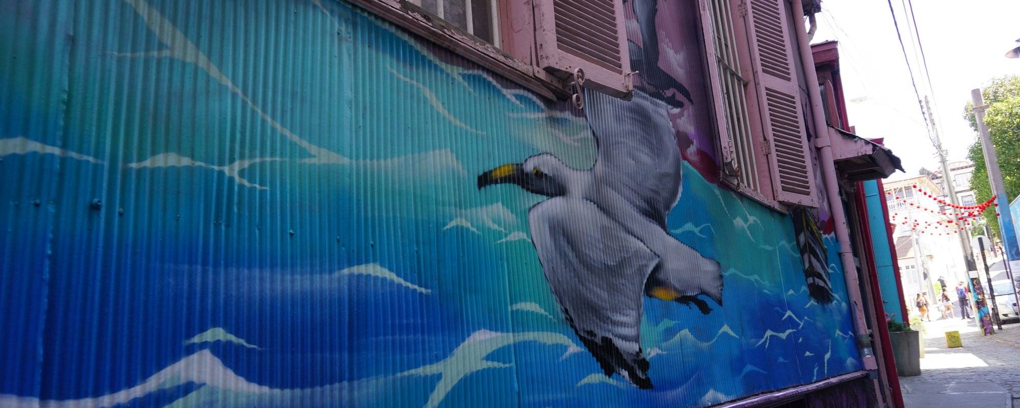 Street-Art I have seen in South America so far!