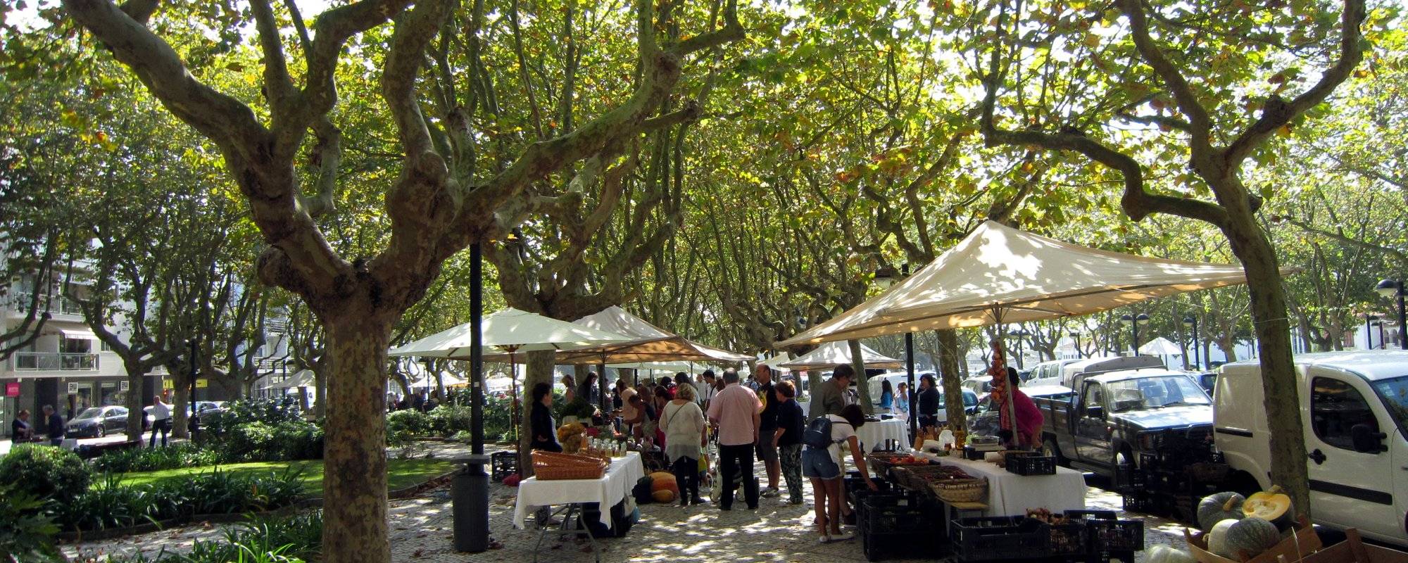 Taking a Stroll Through the Street Market of Vila do Conde (Portugal)