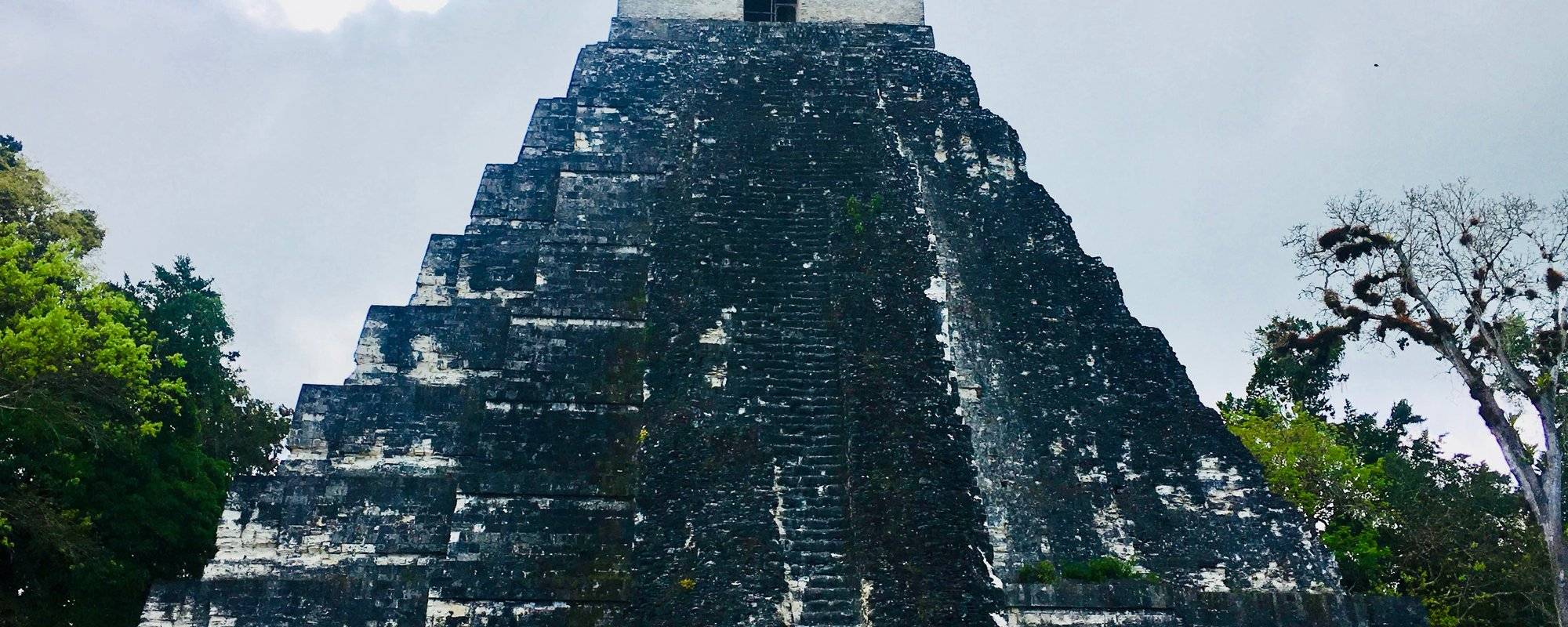 Guatemala Part 9: Discovering the Mayan Ruins of Tikal hidden in the jungle (Fotos + Videos)