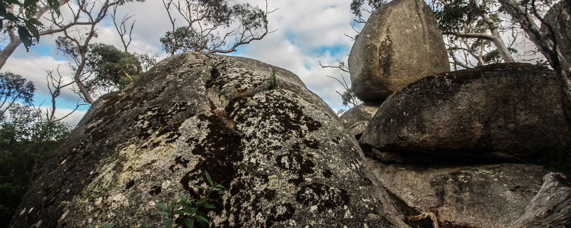 The Giant Balancing Rocks of the Porongurups!