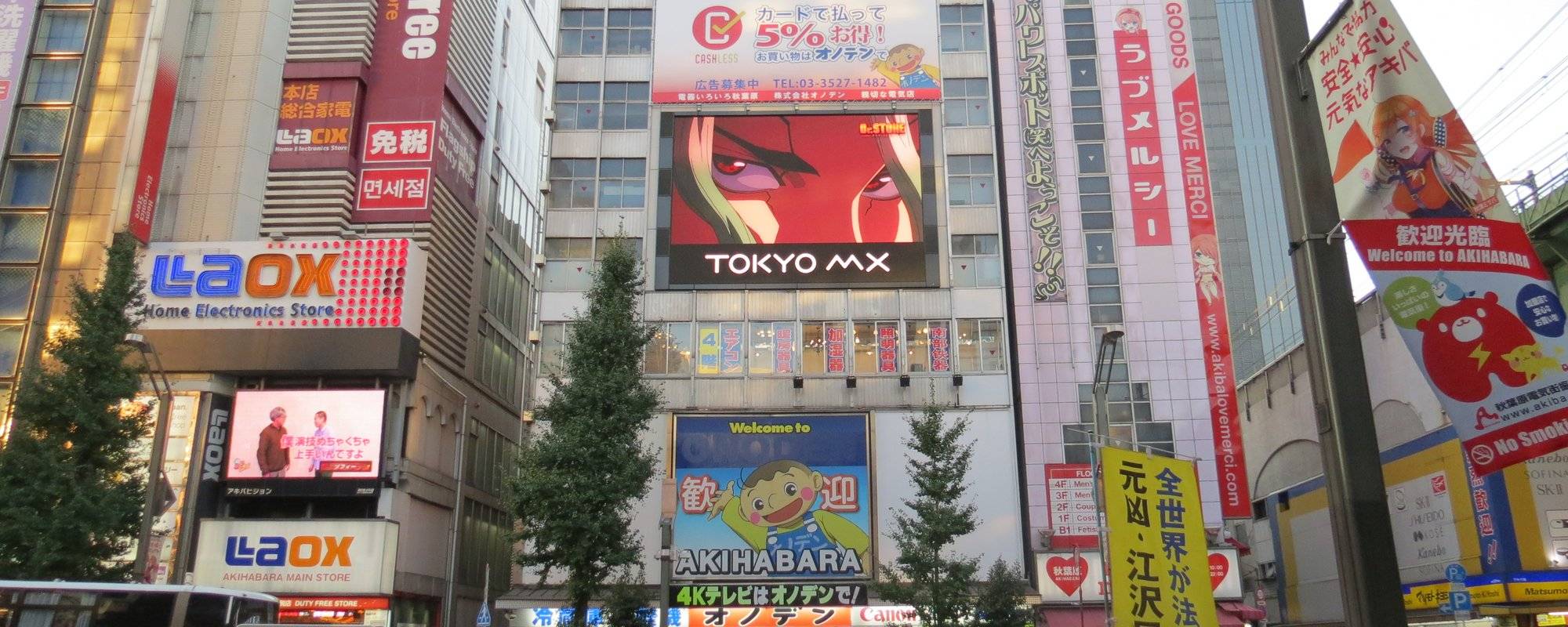 Akihabara - Tokyo's favorite district among fans of manga, anime and computer games.