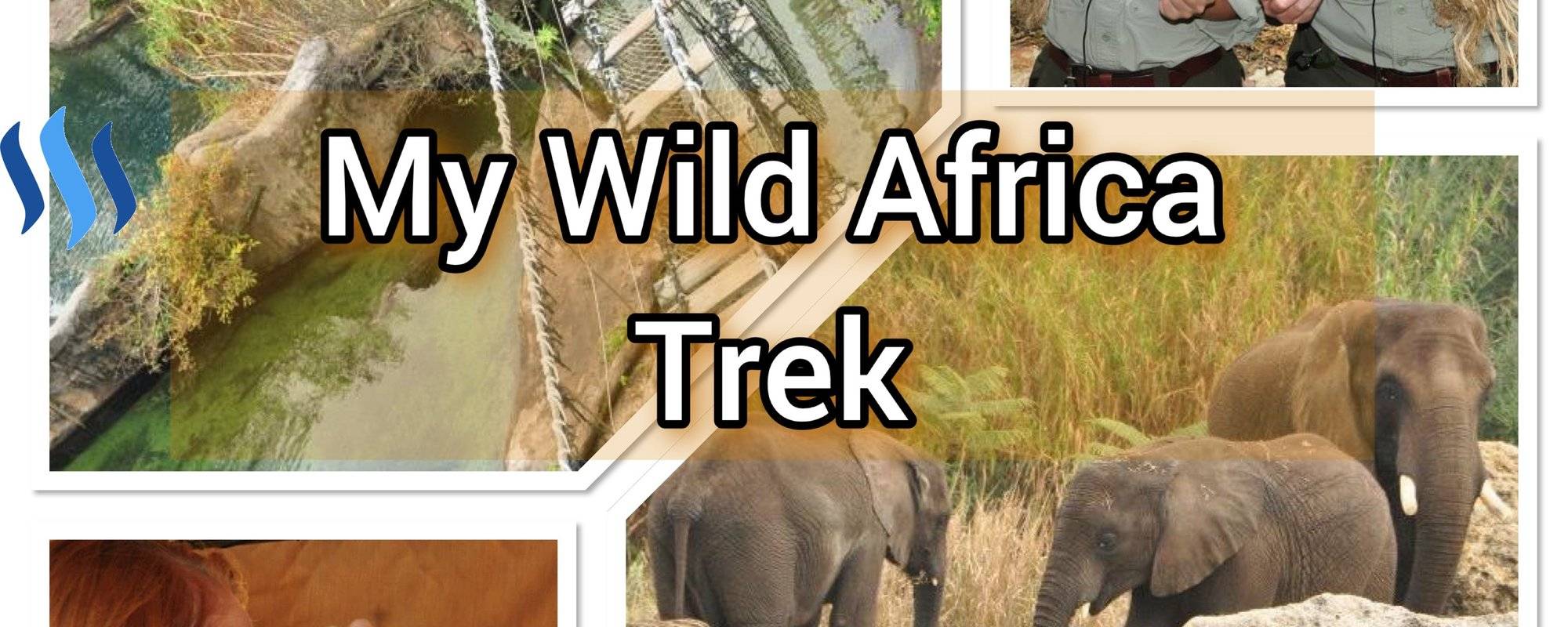 My Wild Africa Trek - Travel #42
