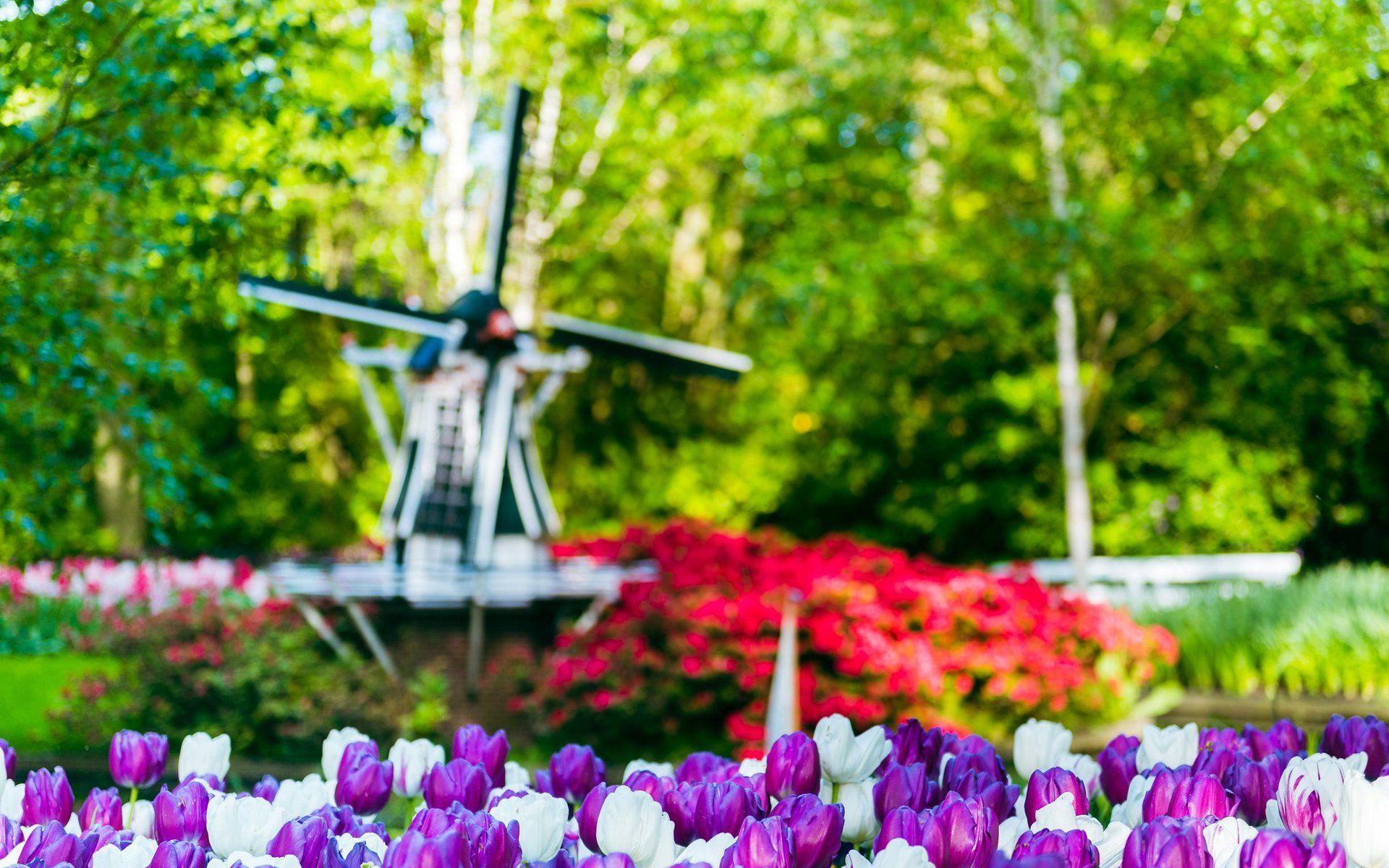 Keukenhof