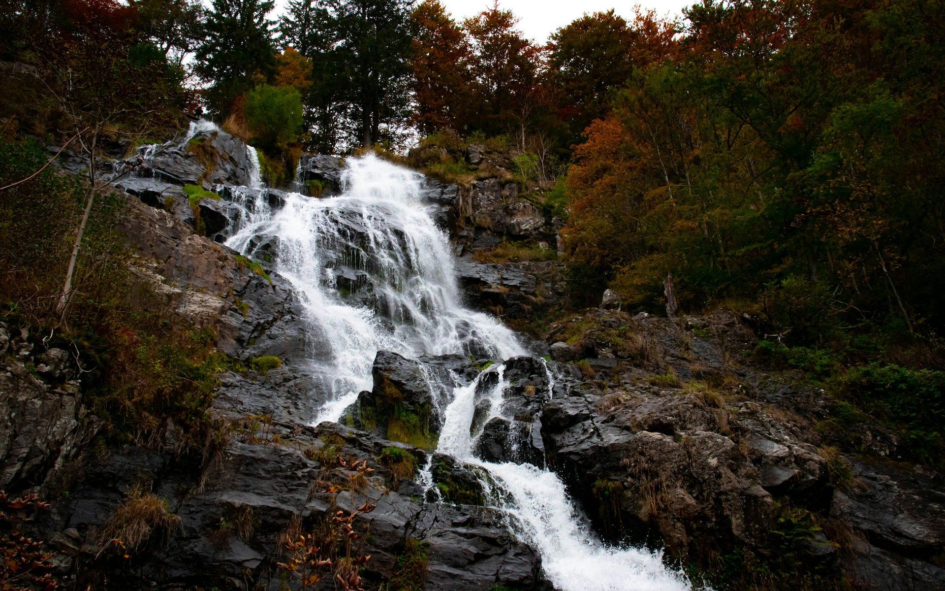 Todtnau