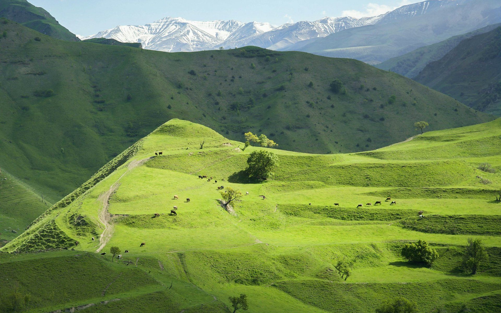 Dagestan