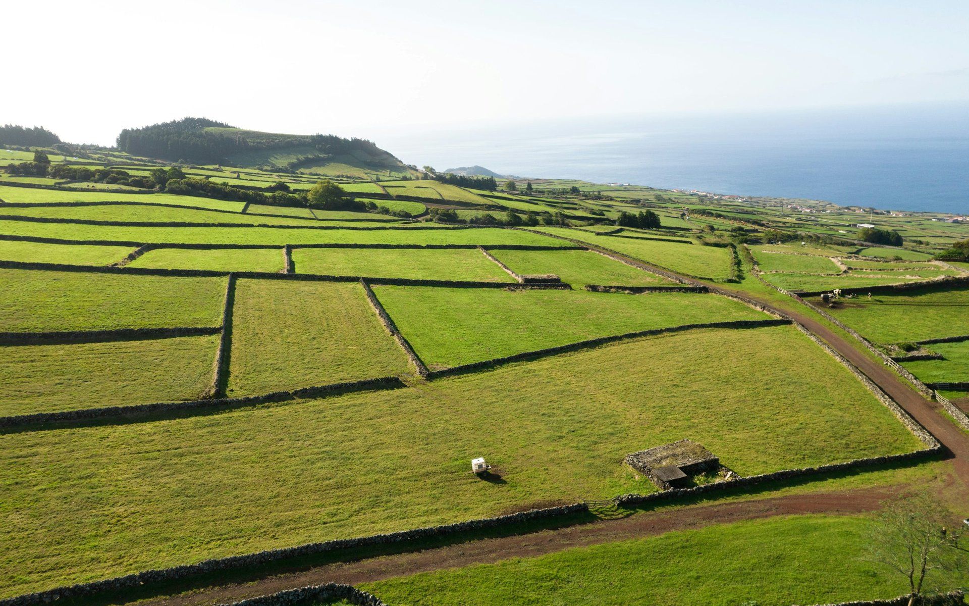 Azores