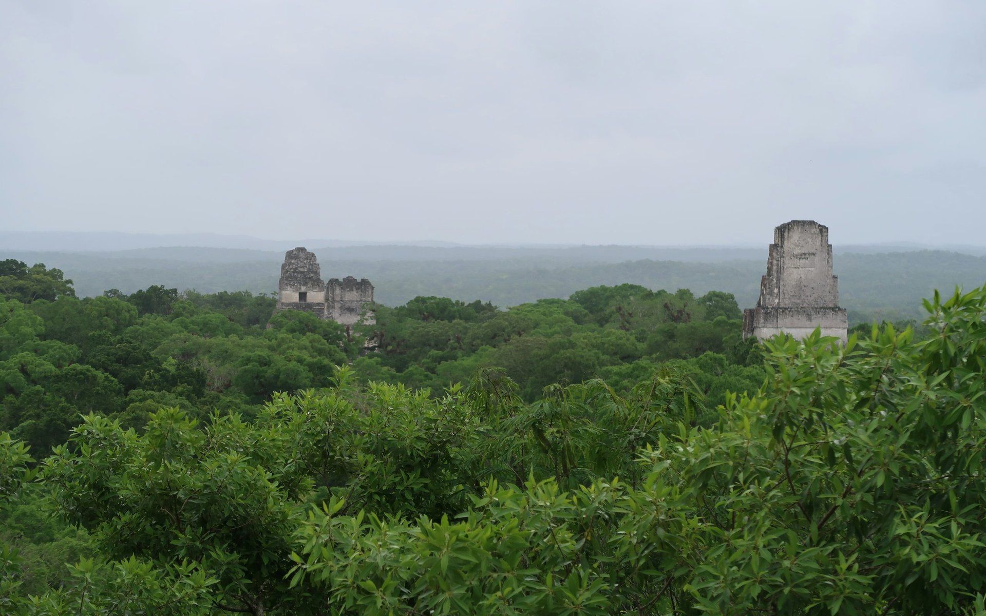 Tikal