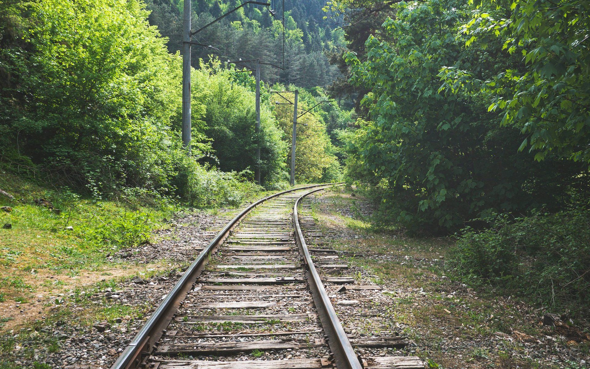 Borjomi