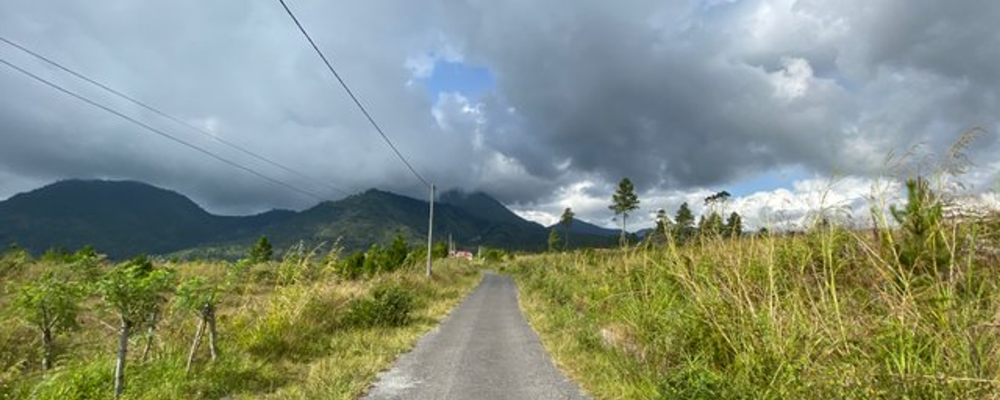 Panorama of the Hiking Trail to Mount Burni Telong