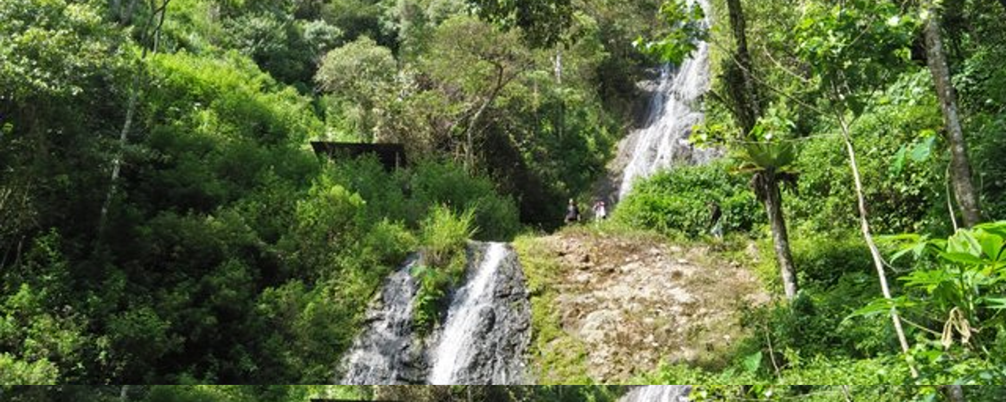 The Adventure of Tracing the Jungle to the "Peteri Pintu" Waterfall