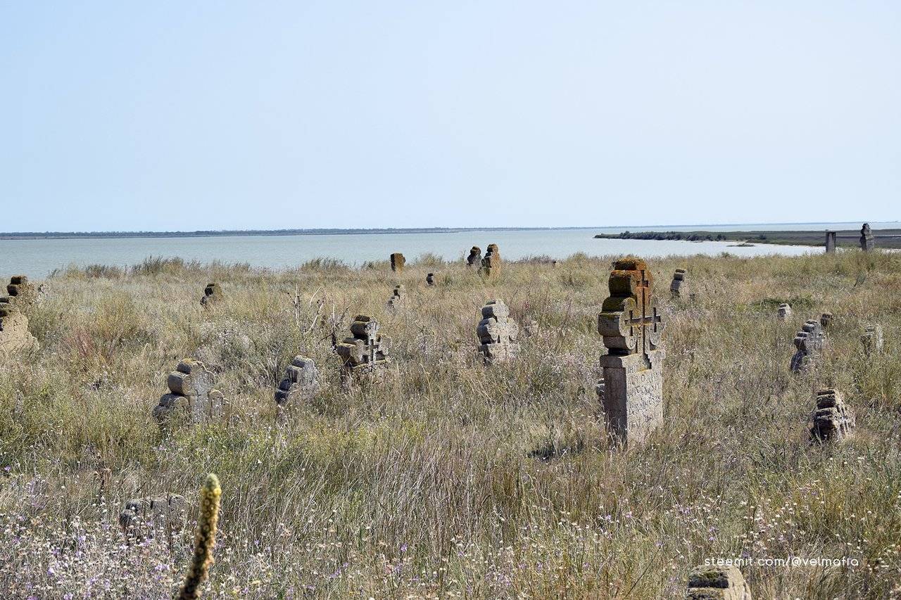 Liman Sasyk, and Cossack gravestones