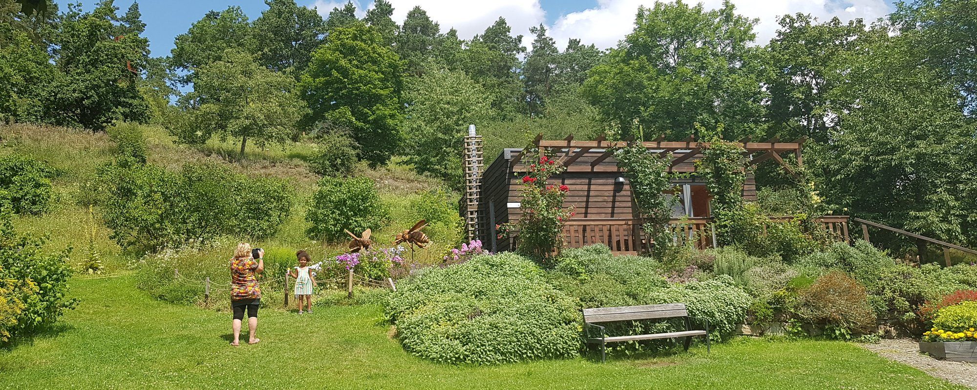 Bees in the Botanical Gardens