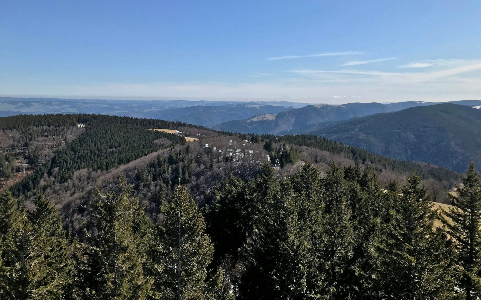 Freiburg im Breisgau