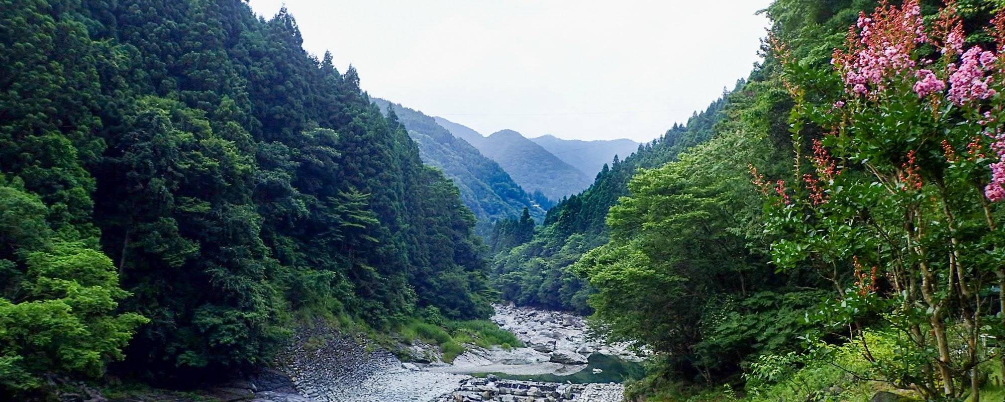Iya Valley, Japan; Camping, Hiking, and Meeting the Resident Monsters!