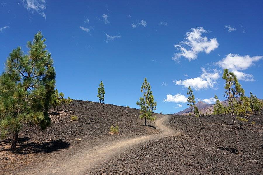 Mount_Teide_pre_002b_s.jpg