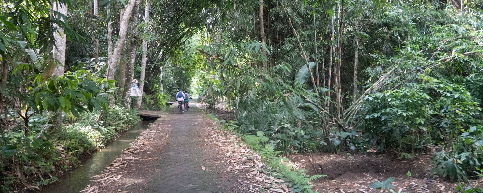 A Cyling Trip Through Villages in Bali