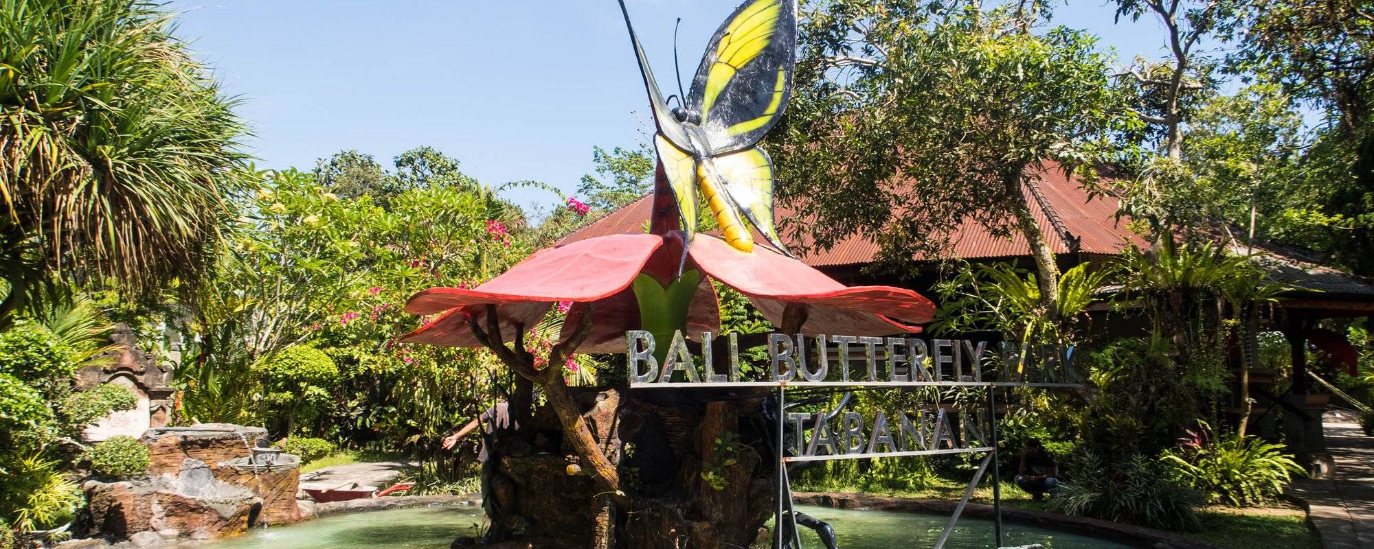 Visiting Butterfly Park in Tabanan Bali, Indonesia