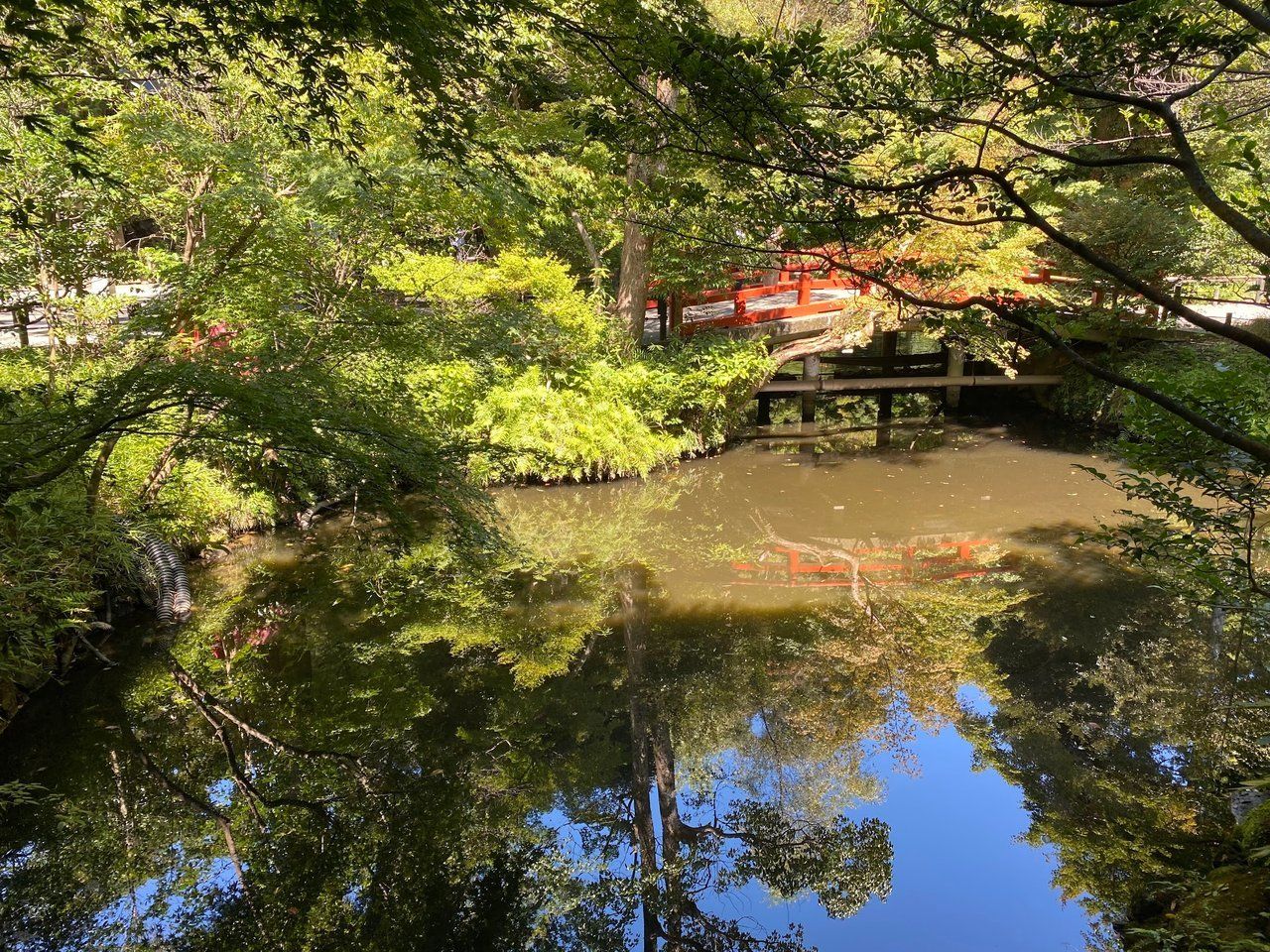 View of the pond from the rest area