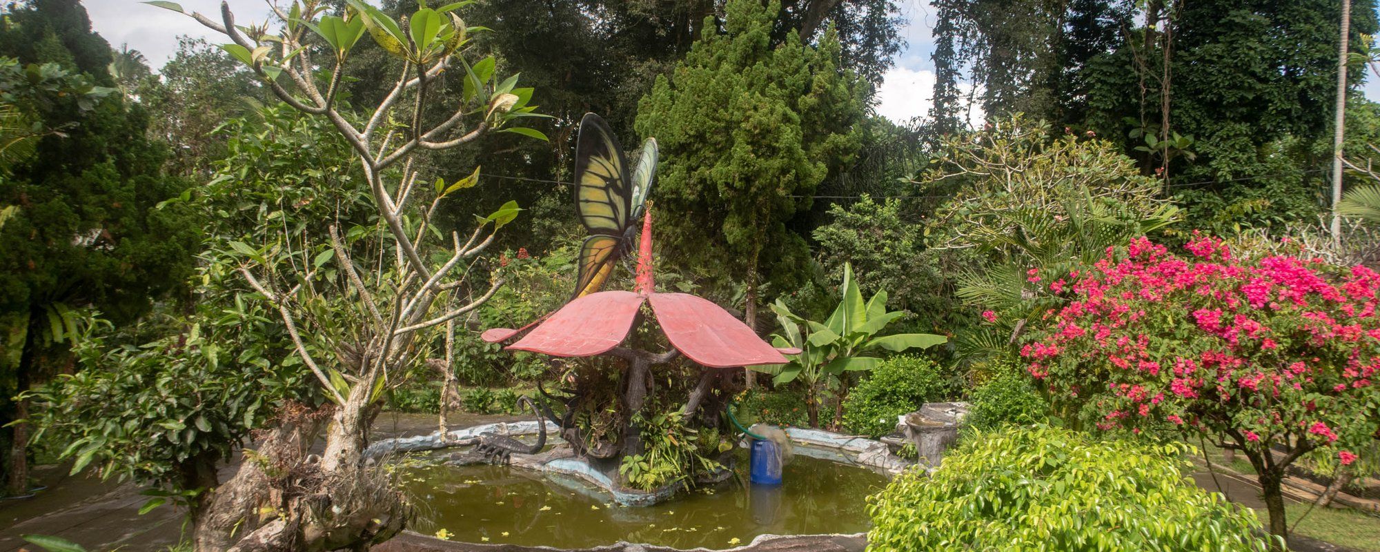 A Visit to  the Butterfly Park in Tabanan, Bali