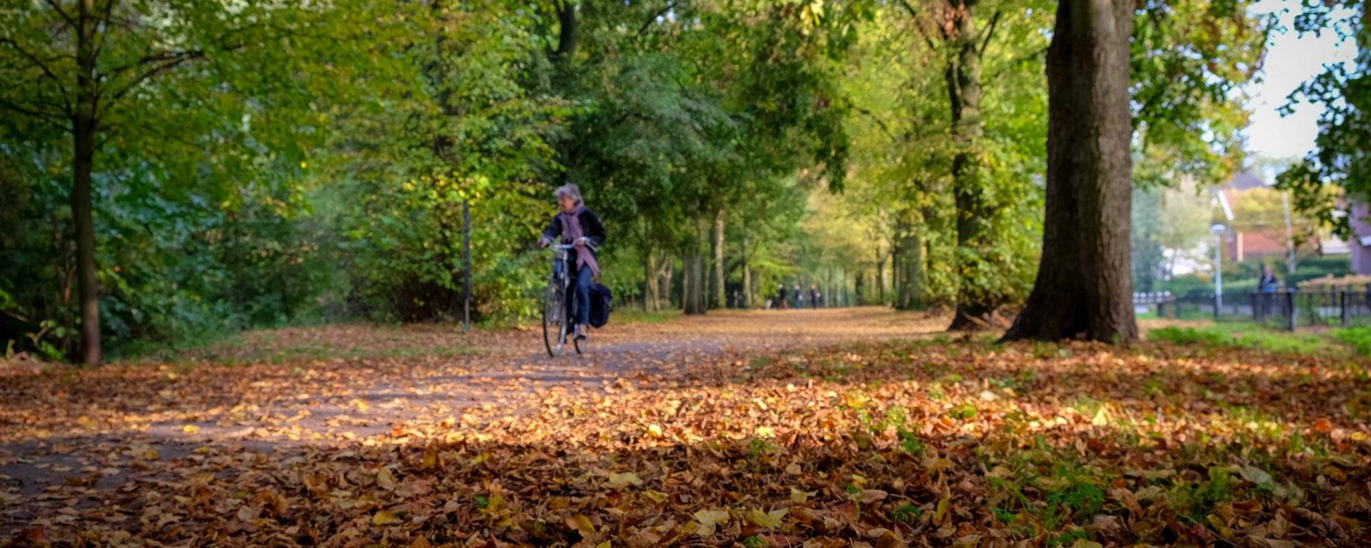 Dutch Autumn Scenes: Beginnings of a (mindful) journey