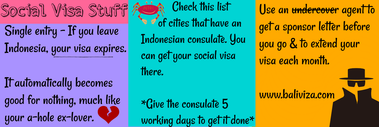 Social Visa Indonesia.png