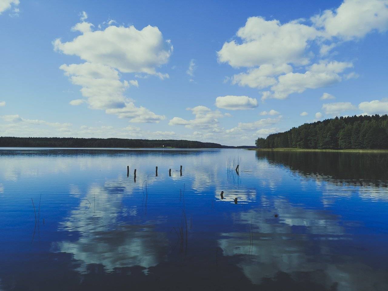   White Lakajai Lake in Labanoras Regional Park, Lithuania. Photo Alis Monte [CC BY-SA 4.0], via Connecting the Dots